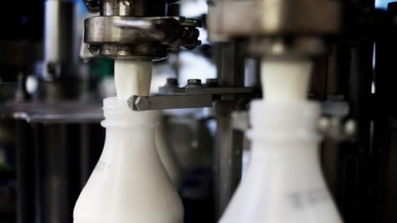 Os desafios do setor lácteo