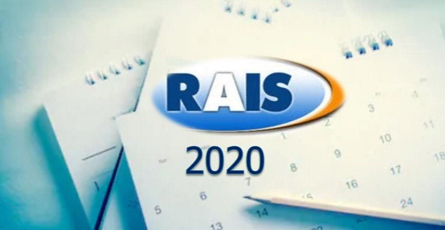 RAIS 2020: Saiba o que é, quando emitir e entregar