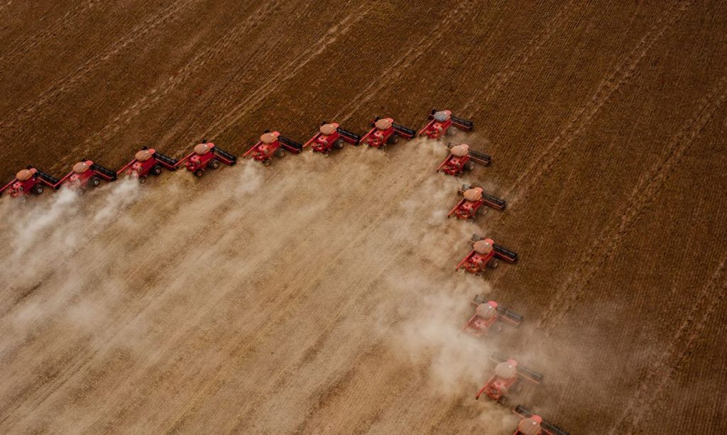Brasil será maior exportador de grãos do mundo em cinco anos